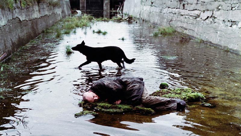 Fotoğrafçıların izlemesi gereken 14 film listesi, Stalker