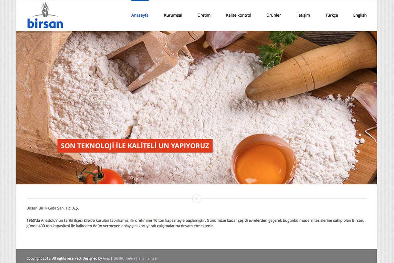 birsan.com web design. Birsan is food company