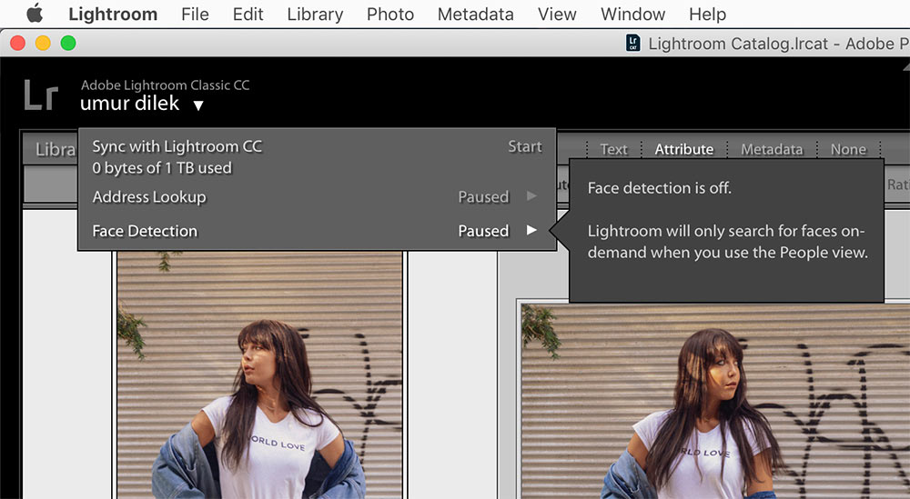 Lightroom Classic nasıl hızlandırılır? adres yüz tanıma